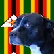 648008096045867044483137489329882592233555462946033952975388142177531985921