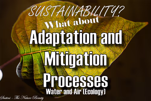 Item #93613396688638017464317025240290185264434684879039933742438228938797061505025 Media