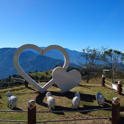 Qingjing Farm -6