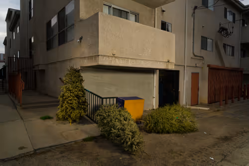 Item #97596376492587480991564299989885194485729582935183473269224319364072399175681 Media