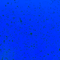 80965803268169370603932631570667161375508893671094224909166963880821830713345