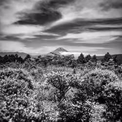 mount fuji noir 