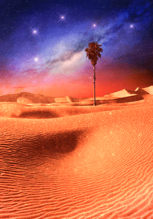 Item #23264576006212793936110952006361229359943725730475327282666649266425132220417 Media