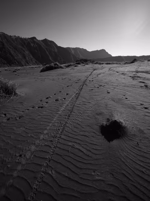 Item #97299197670576688169135242576959850036431919373710156993917717259908070506497 Media