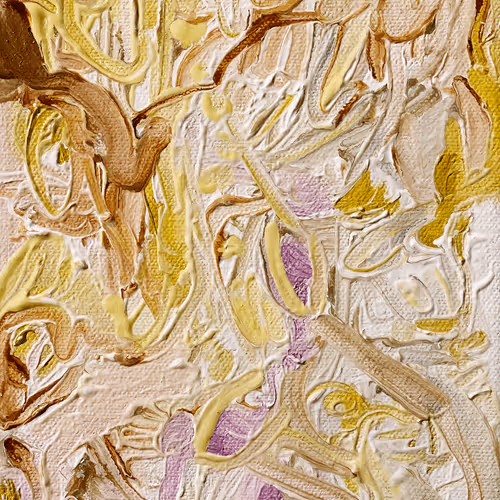 lisannehaack Collection