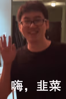 Whale Penguin Meme