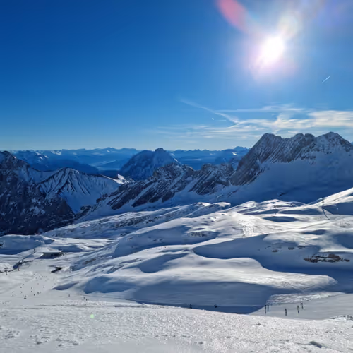 Precision Collection