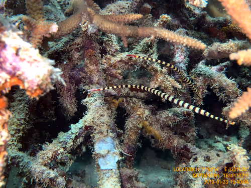 Item #80965803268169370603932631570667161375508893671094224909166964251357249273857 Media