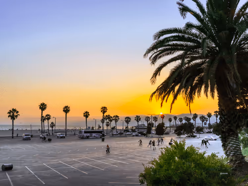 Item #62617397375757312297803897609954755559227699621957103885912270289003857575937 Media