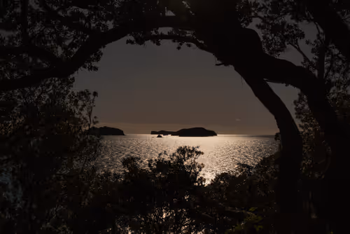 Item #108547290172068983727785202246252609350304201814617164826611777620868687986689 Media