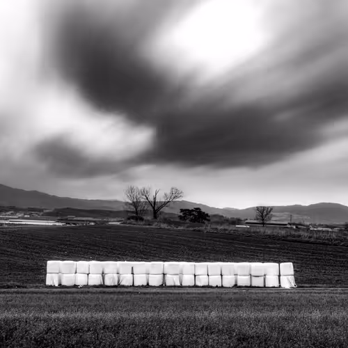 Item #38451764483071137049617104277060770361693514459204374406310069335260779249665 Media