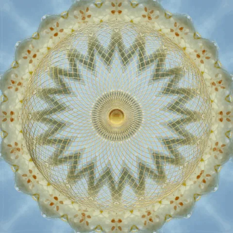 Item #112810751382848212125690013449638138010411086189771619716781988064576902529037 Media