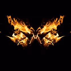 Phoenix #025