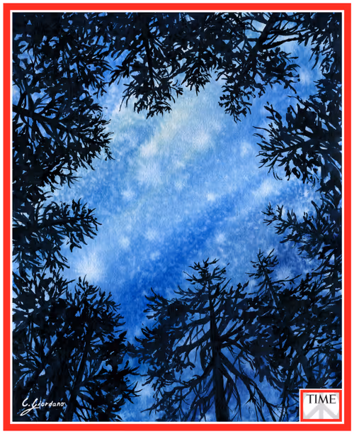 Item #99707506381095622123001165646892513100303268977477032461907971275128720850945 Media