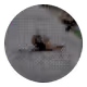 73474911565276893363269127585336255498112534630235322163062143255772567437313