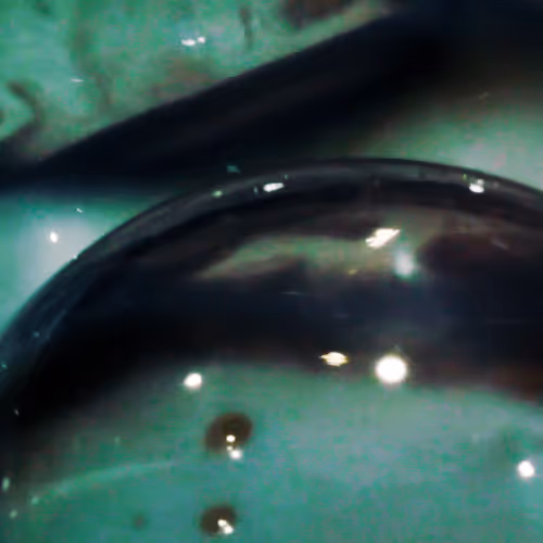 Item #70662443782525108804449522179445584276915167986744255556257964792038519996417 Media