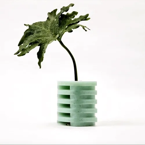 Vase Cinemagraph