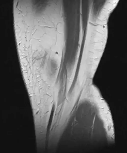 Item #11780915356901891937150191052604117223978980698243640119023280890467122675713 Media