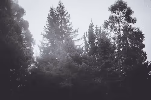 Item #31788909356613404137048829070137069187400346678612286943977180898254869495809 Media