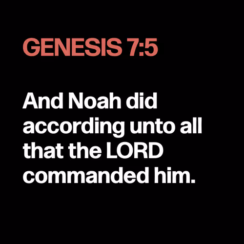 Item #22053356606985035317572807567829034573317121579682343289603633550655324422145 Media