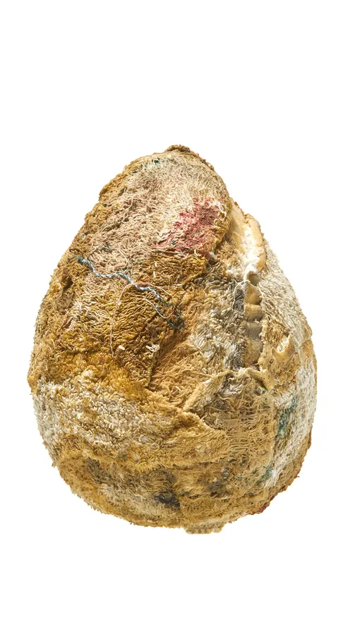 Item #53212739084474879624982794212504073154600685737409971486248687238802055364609 Media