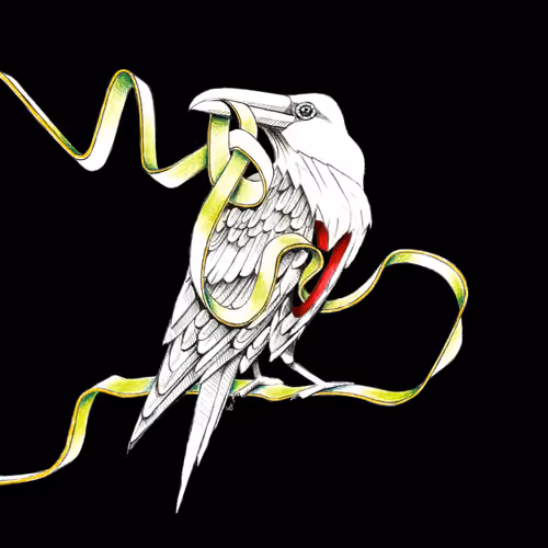Raven-Knot-Spirit
