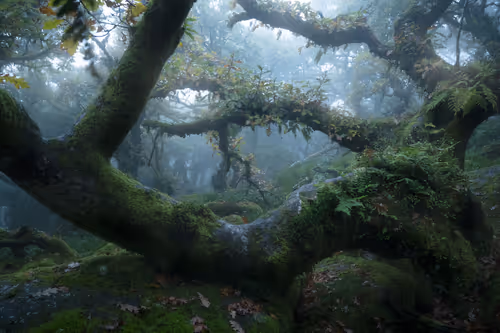 Item #72639390708267126639436568569652760193401123475841185469851730351111771521025 Media