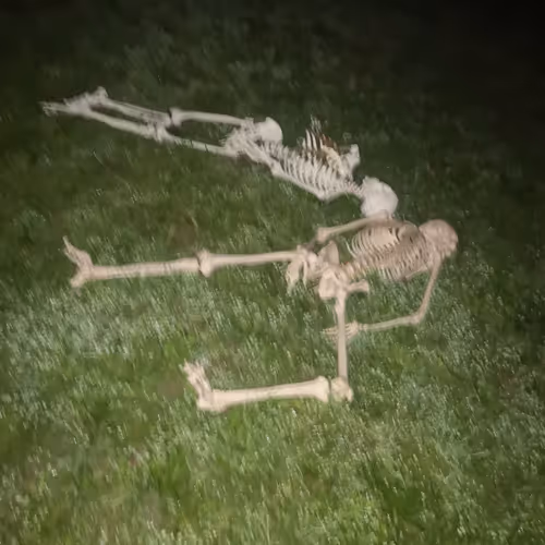 Item #71646257518770613568983710813551014237803002136866425209291834048284308013057 Media