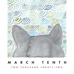 59838239748301082707271173184299806470506287645244438139668863264097656897537