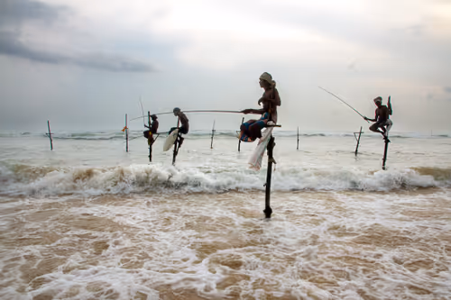 Item #40394546546669417743996897693807415895791416863861348981332634638145562869761 Media