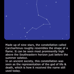 Constellation Card#11 Carcharhinus