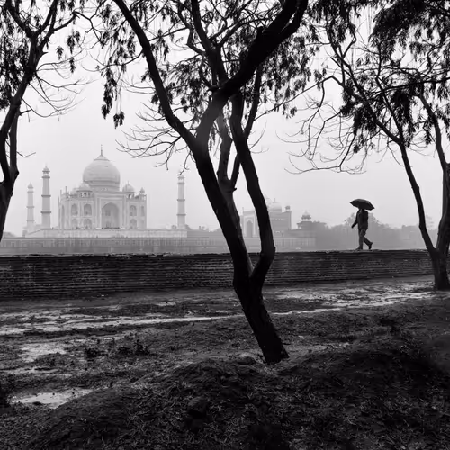 Subodh Shetty Editions - TIMELESS