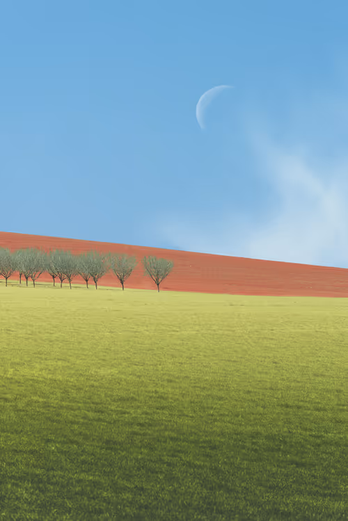 Item #39071023685345521589531013450918722216572370939070752972983331682808714231809 Media