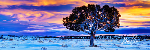 Item #47249959134198920907423674863097916784609466470325481649030705703041837826049 Media