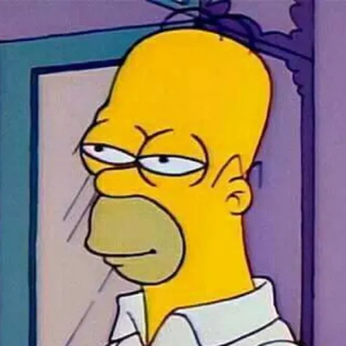 Homer Meme