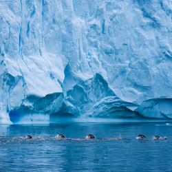 The Ice #6