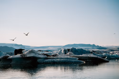 Item #114356424979646912091291396938675079969318378250921425408739931222042501709825 Media