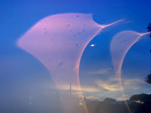 Item #82589602681596694281061629790616524482150904123241149325387241692809746448385 Media