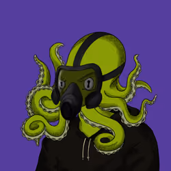 POLPO #34