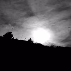 Downhill Run