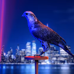 5362693153686757663037229957776630052012240176014263673100968351999224446977