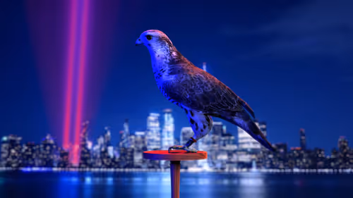 Item #5362693153686757663037229957776630052012240176014263673100968351999224446977 Media