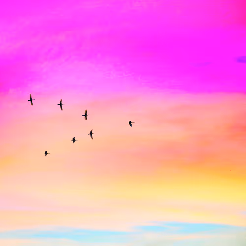 Item #22172945866262605188036727123283191068018609668248326470785367323814731448321 Media