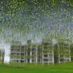Strange reflection