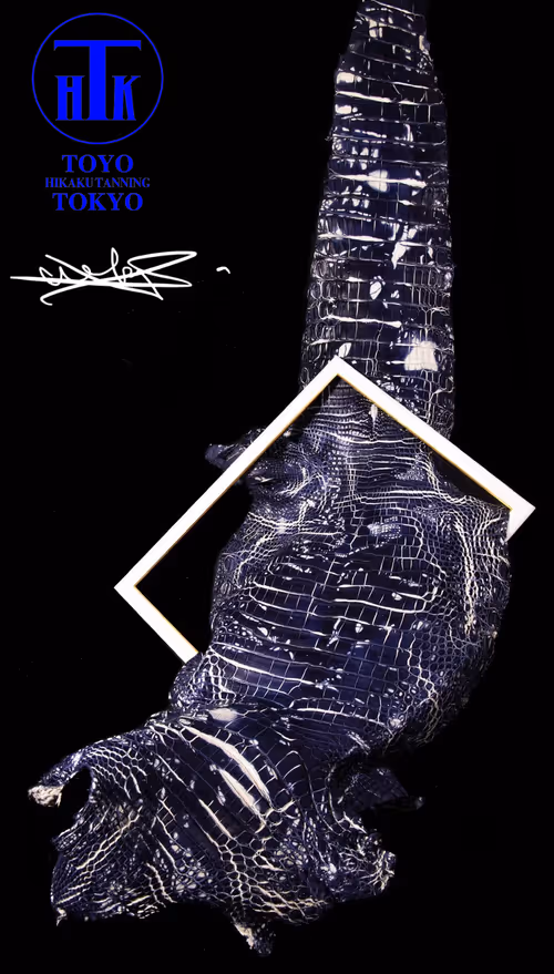 Item #65718052376404825530132698476454308049276015836189851915939897252726475587585 Media