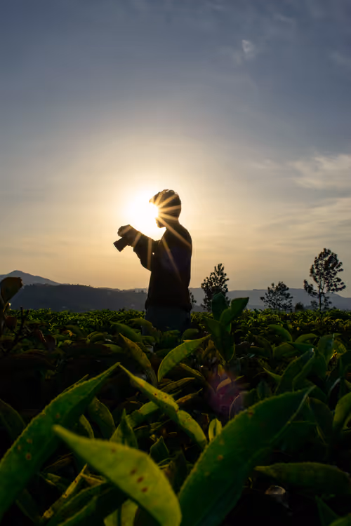 Item #36145732516804139016380361544373269319947941032678267894410350696273601888257 Media