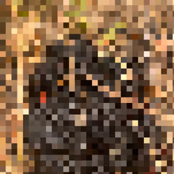 2850415134272365380187775685678842410458265265709128331682257669003491147777