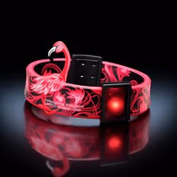 VIP Wristband
