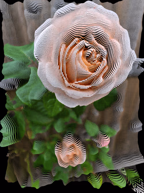 Item #60437787461604173882011674628805649003111788087806846882310288784366998913025 Media