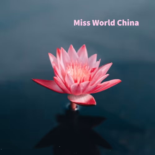 missworldchina.eth Ethereum Name Service (ENS and .eth domain) PFP